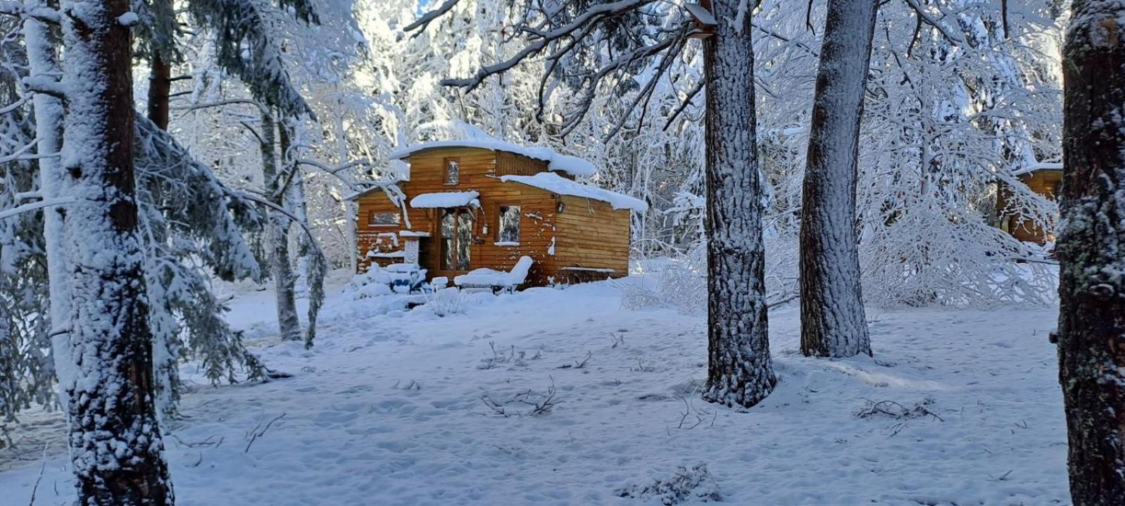 Chalet Cricri Domaine De La Mamounette Champclause Exteriér fotografie